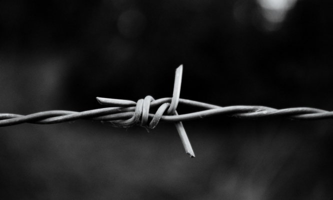 Alambre de Concertina