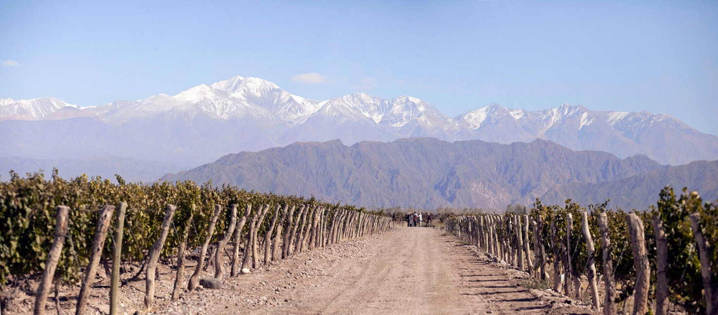 Sol y Vino - Vinería