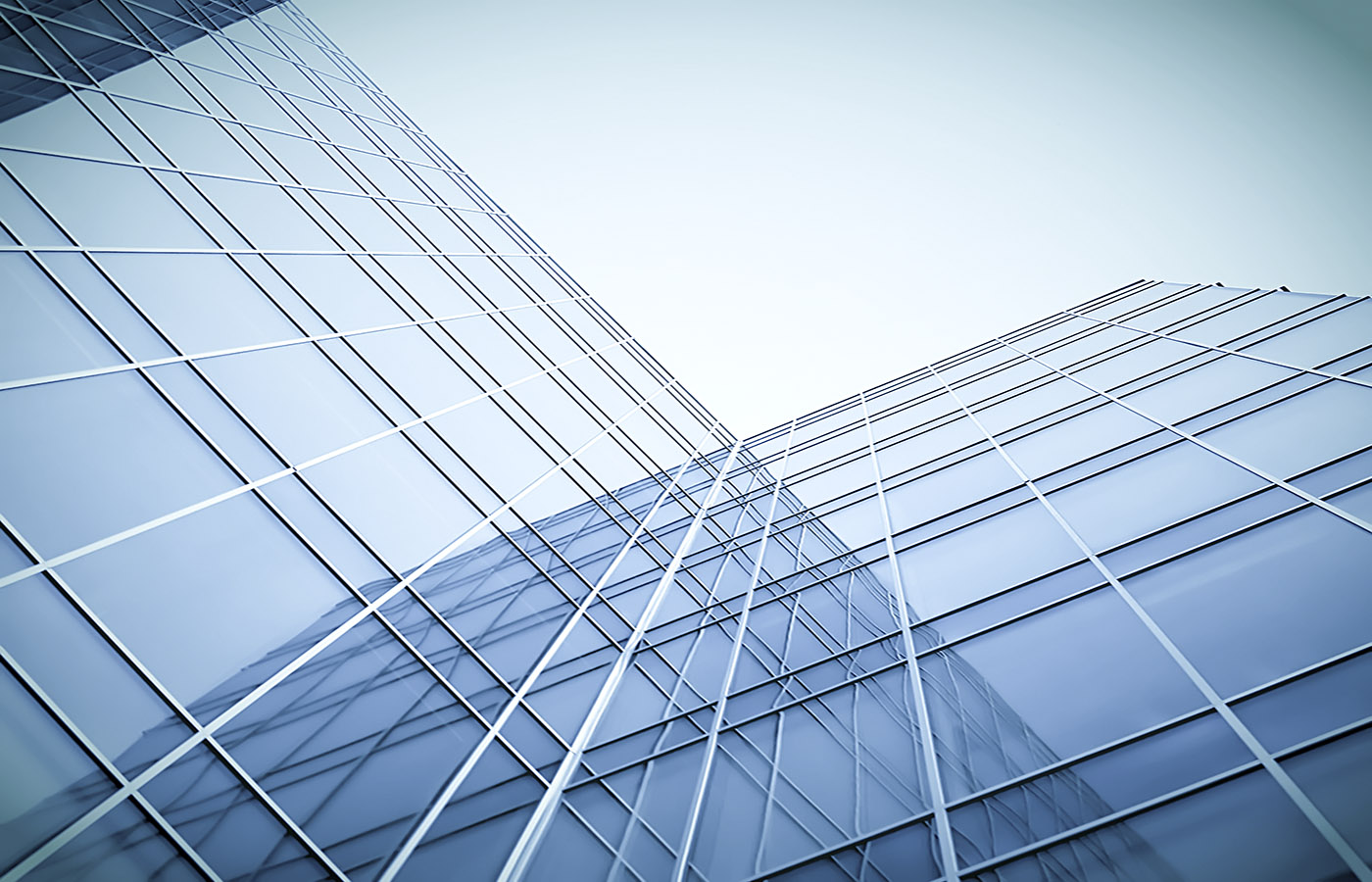 Vidriería Del Plata